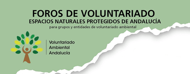 Foro-andaluz