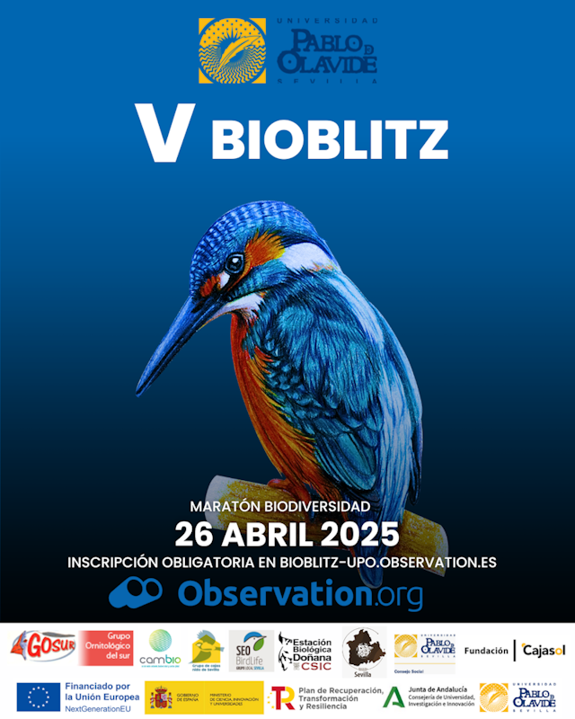 v-bioblitz-upo-2025